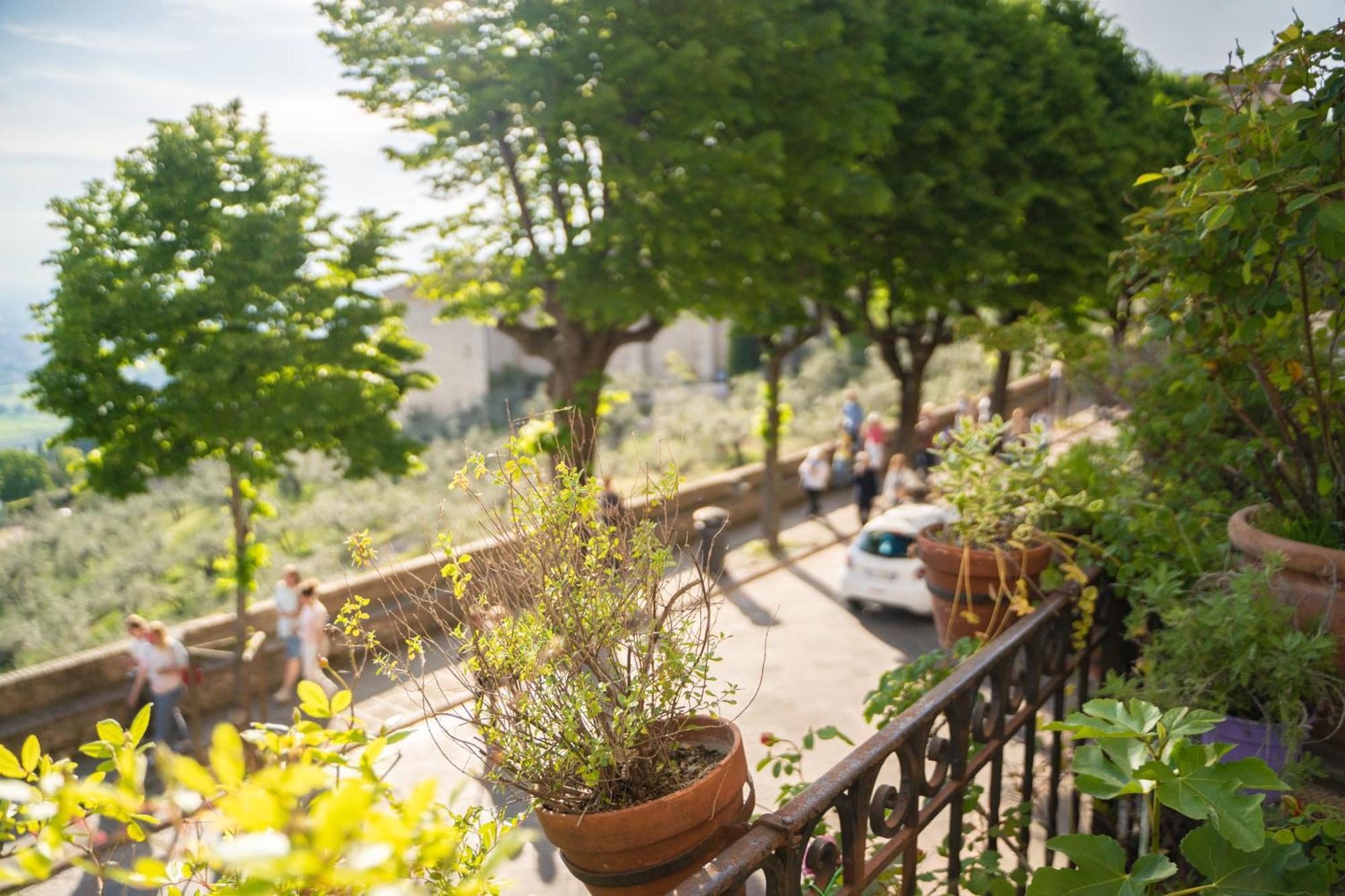 Hotel Belvedere อัสซิซี ภายนอก รูปภาพ